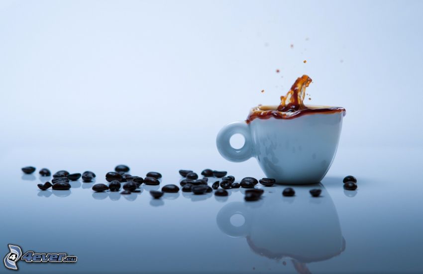 taza de café, granos de café, splash