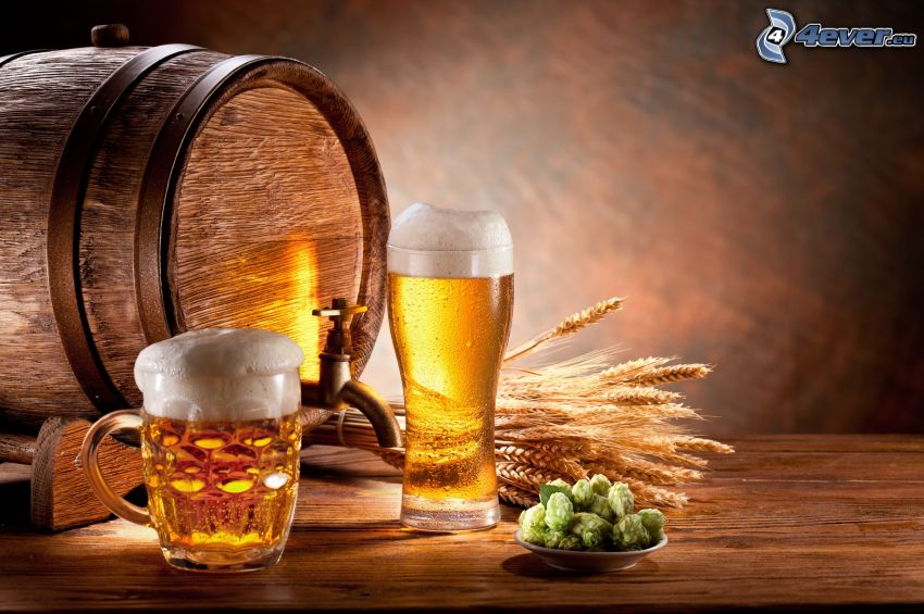 vasos de cerveza, barril, trigo