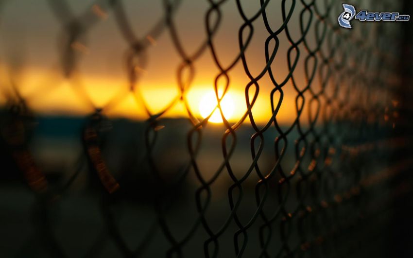 alambre de la cerca, puesta del sol