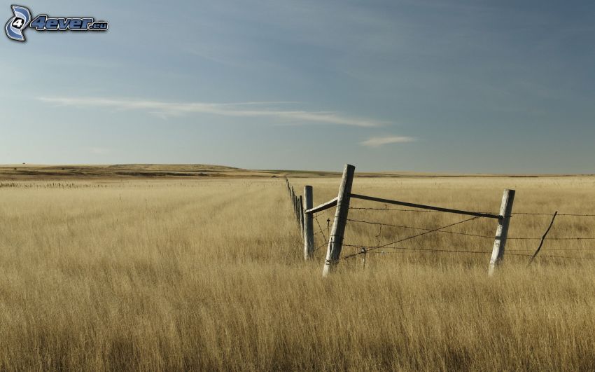 alambre de la cerca, valla antigua, campo