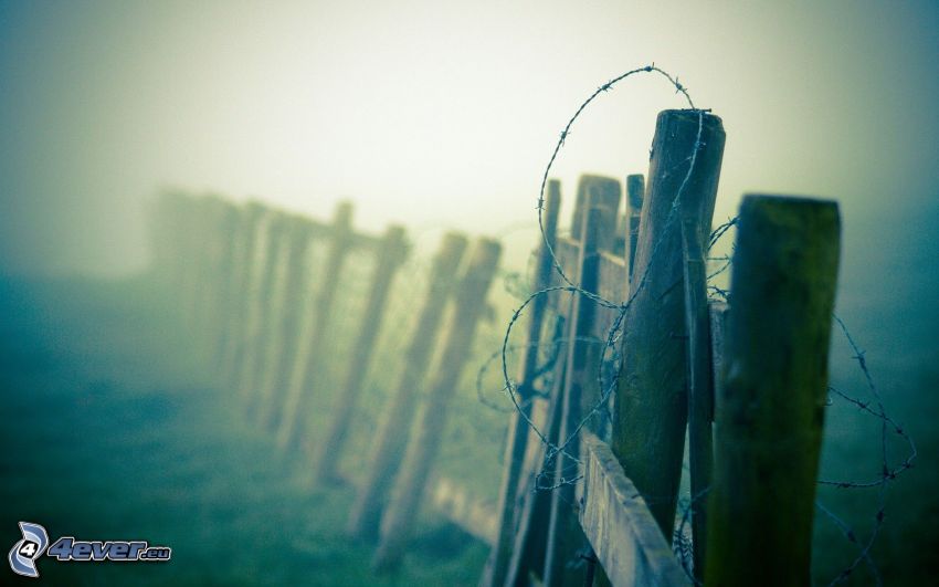 alambre de la cerca, valla antigua