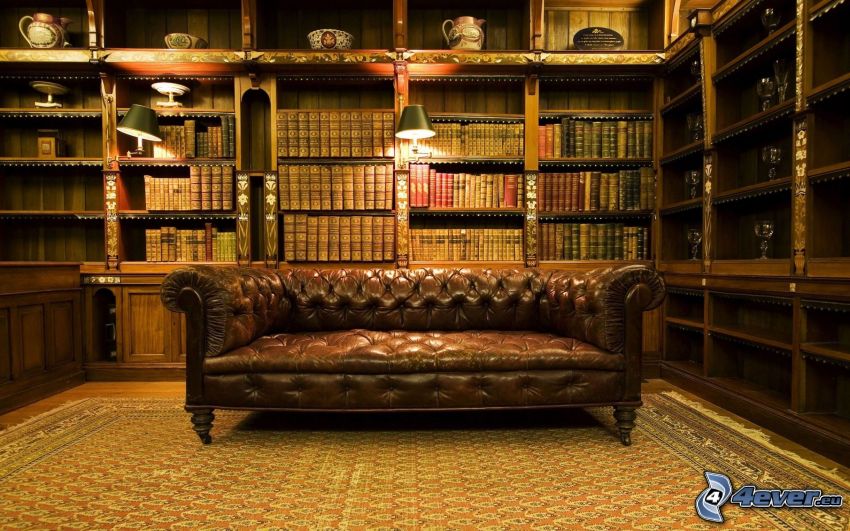 biblioteca, sofá