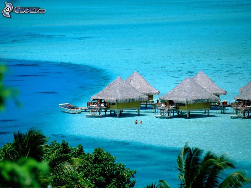 bungalows junto al mar en Bora Bora