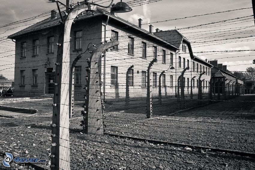 campo de concentración, alambre de la cerca, Oświęcim, Foto en blanco y negro