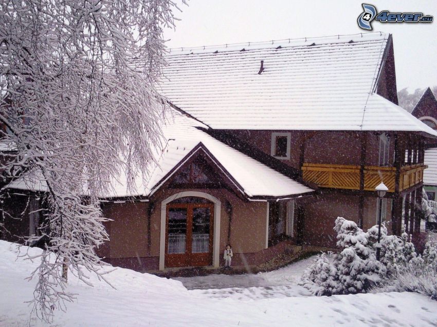 casa de campo cubierto de nieve, Orava