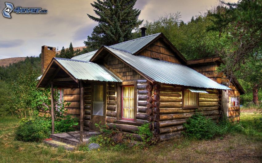 casa de madera, naturaleza, HDR