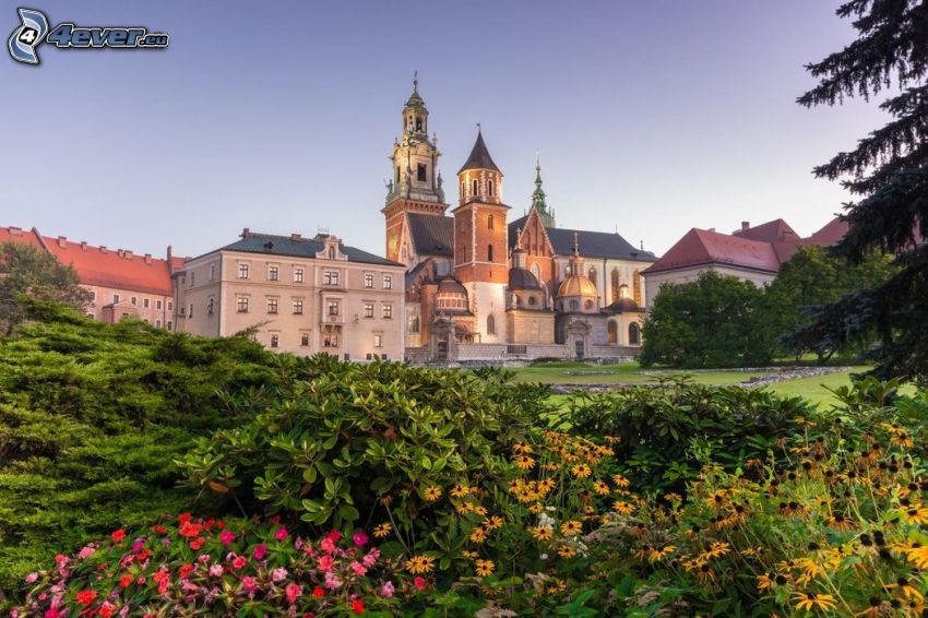 Castillo de Wawel, Cracovia, verde