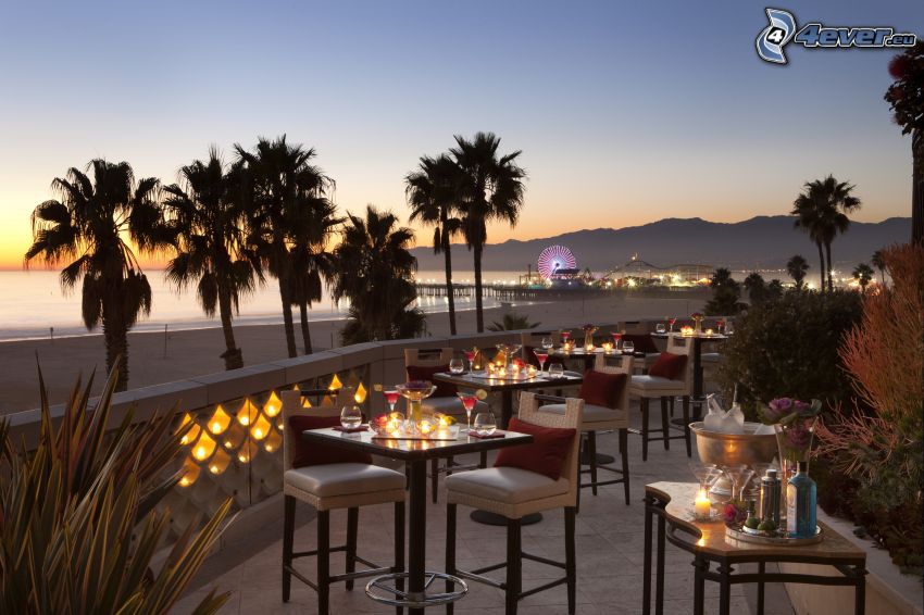 restaurante, terraza, rueda de la fortuna, palmera, Santa Monica