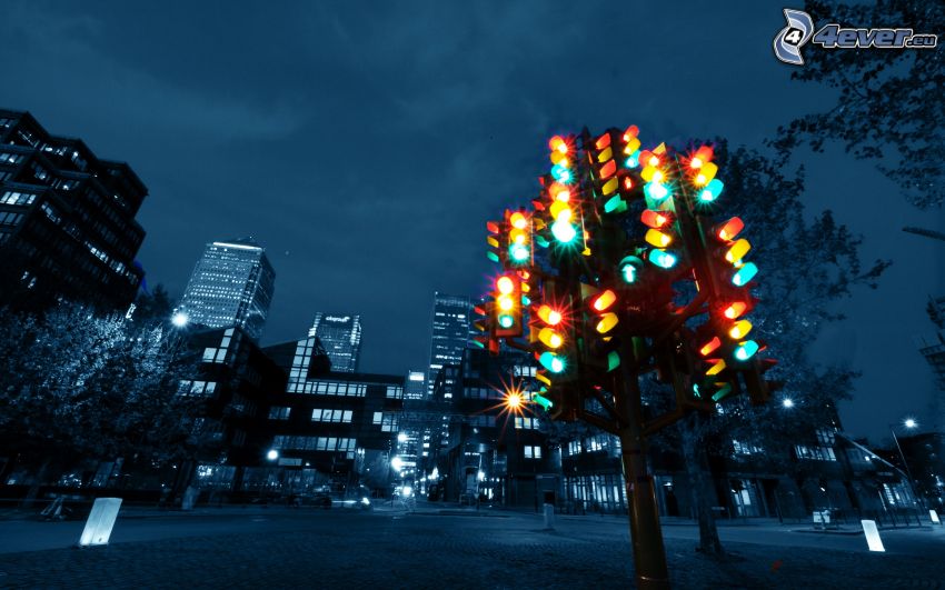 semáforo, ciudad de noche