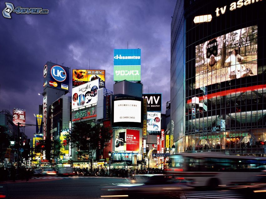 Tokio, calle, anuncios, ciudad de noche