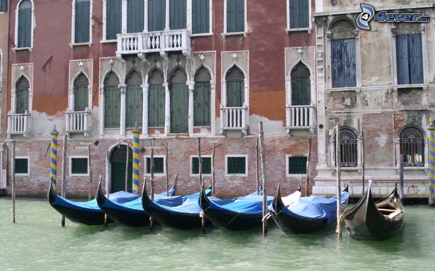 Venecia, naves