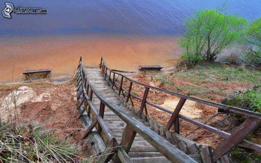 escaleras de madera, lago, Arbustos