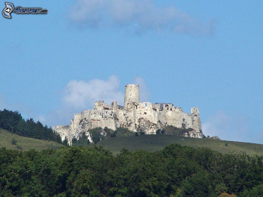Castillo de Spiš, Eslovaquia, bosque