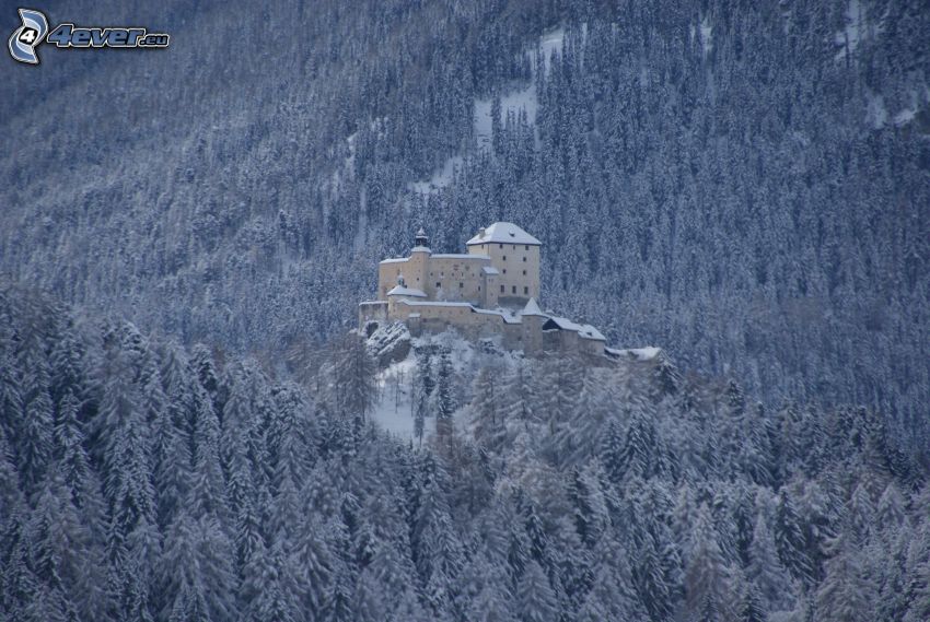 Castillo Tarasp, paisaje nevado, bosque nevado
