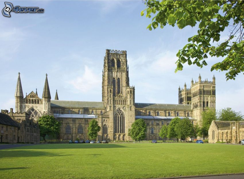 Catedral de Durham, césped, árboles verdes