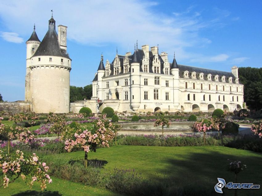 Château de Chenonceau, jardín, parque