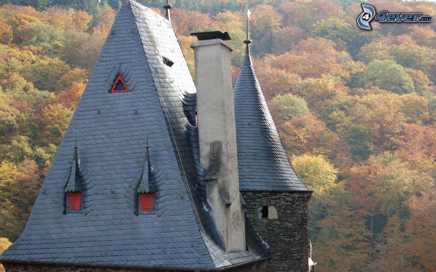 Eltz Castle, bosque de otoño