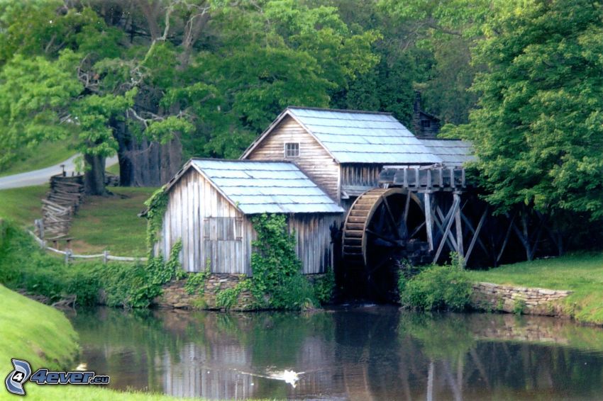 Mabry Mill, río, bosque