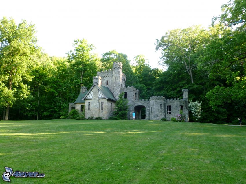 Squire's Castle, bosque, césped