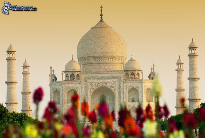 Taj Mahal, flores