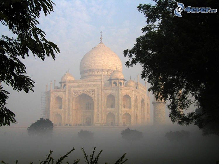 Taj Mahal, India, niebla, árboles