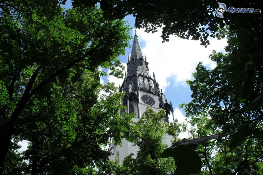 torre de la iglesia, parque, árboles