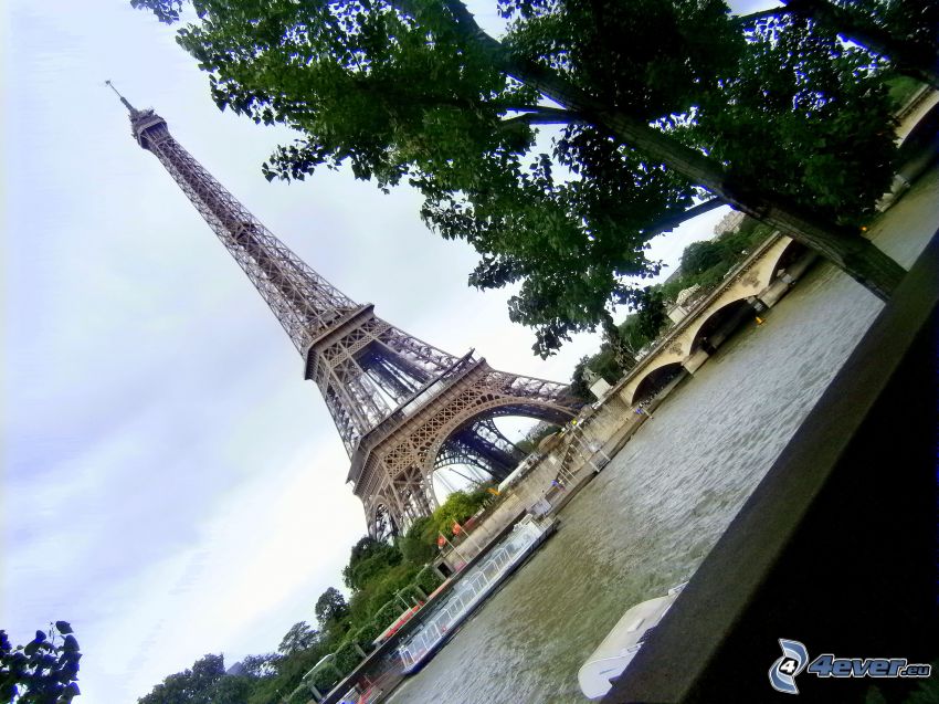 Torre Eiffel, Río Sena, París, Francia, árbol