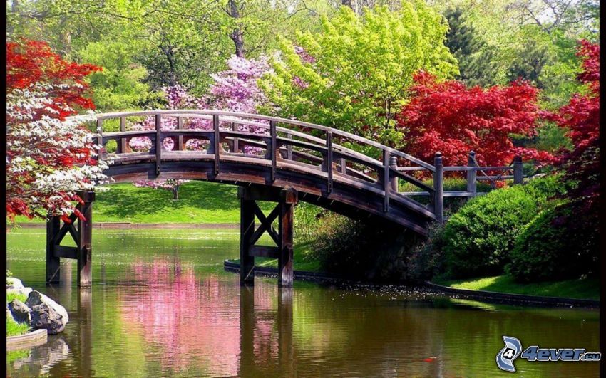 puente de madera, parque, piscina, árboles de colores