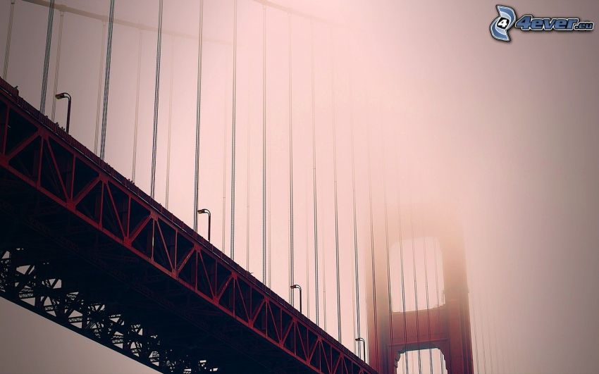 Golden Gate, puente de hierro, niebla