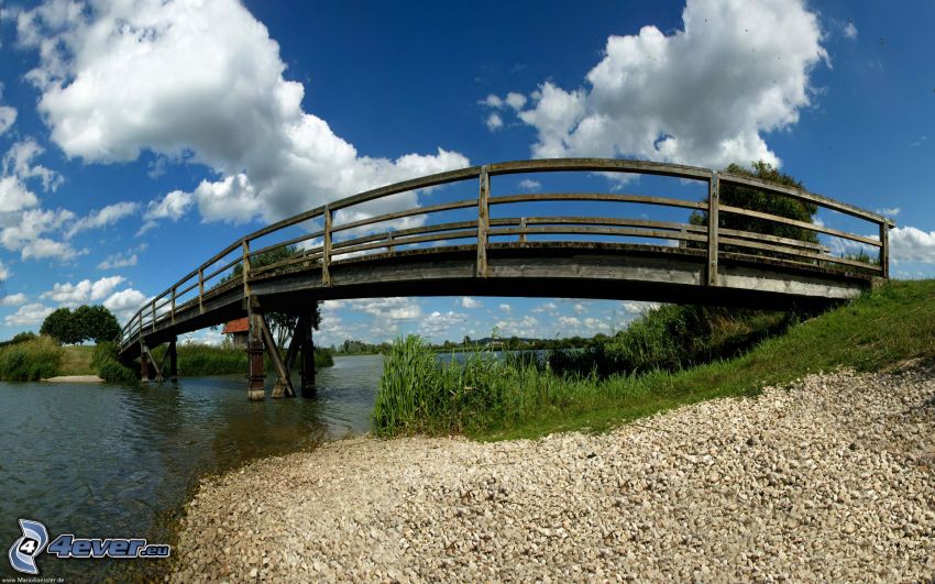 puente de madera