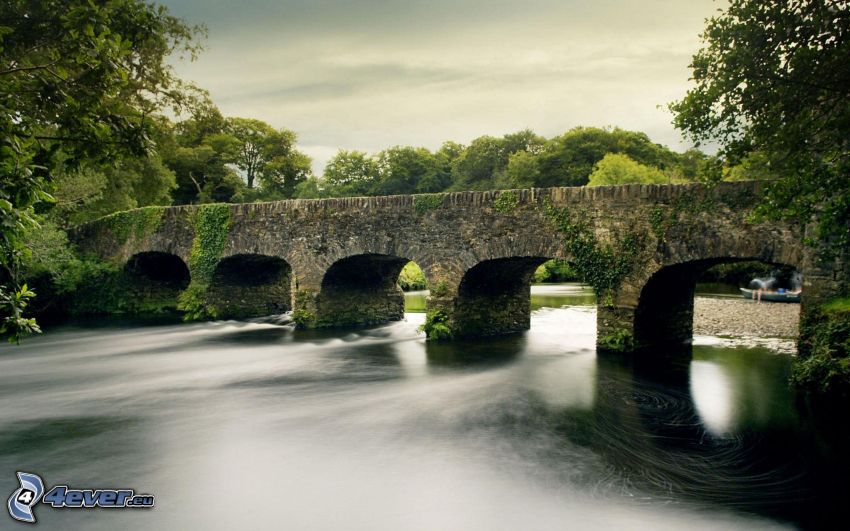 puente de piedra, río, árboles