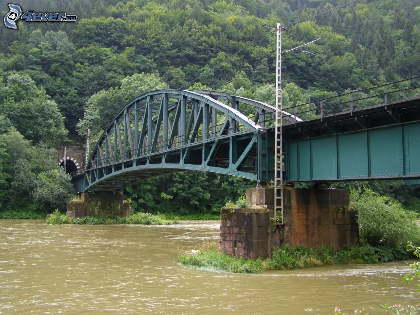 puente ferroviario, túnel, Río Váh, Strečno