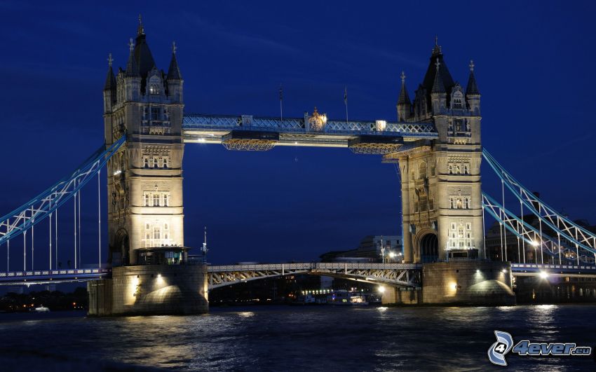 Tower Bridge, noche, puente iluminado