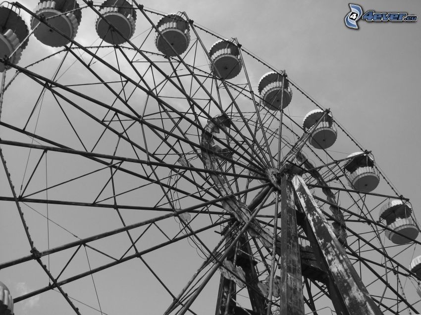 rueda de la fortuna, Foto en blanco y negro