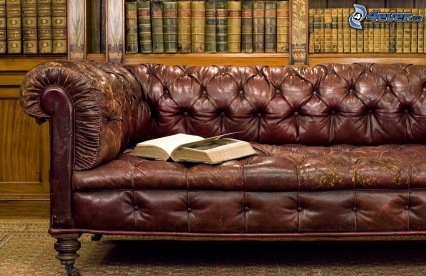 sofá, libro antiguo, biblioteca