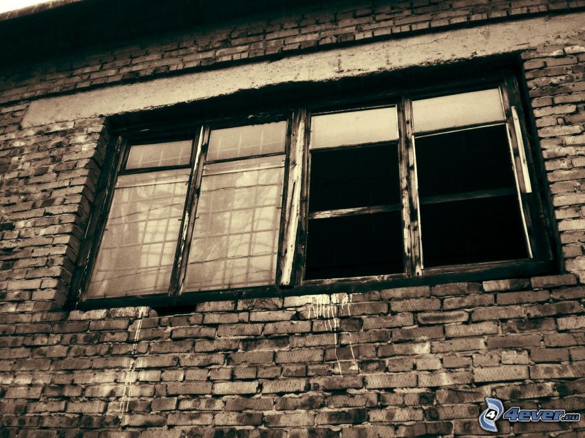 ventana vieja, pared de ladrillo