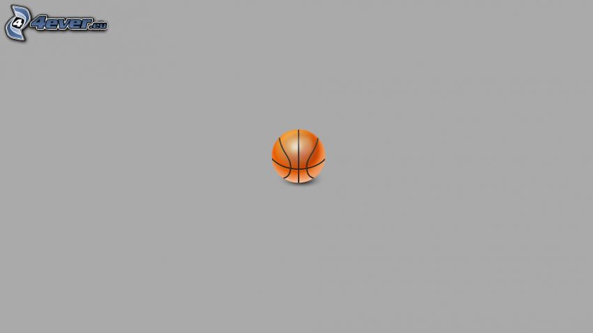 pelota de baloncesto
