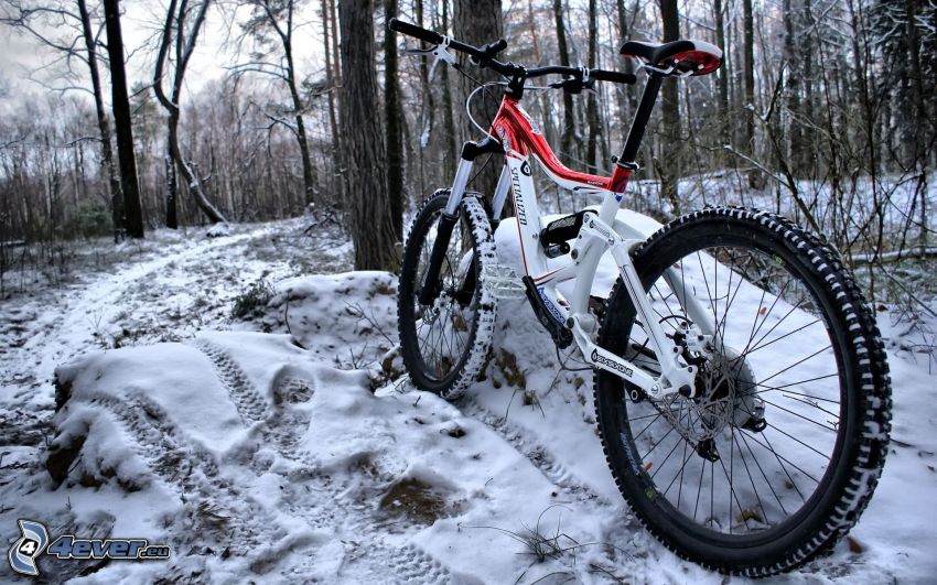 bicicleta de montaña, bosque, huellas en la nieve