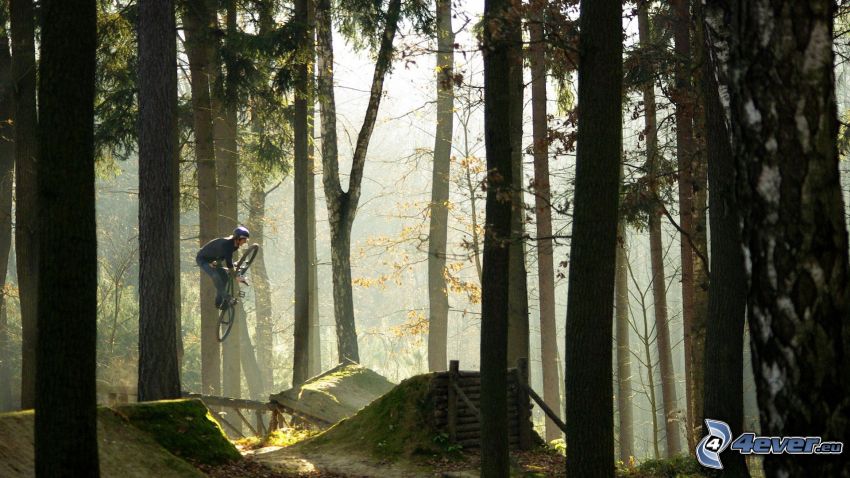 ciclista extremo, salto en la bicicleta, bosque