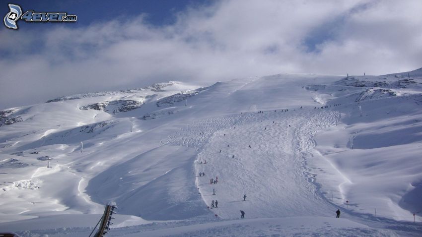 declive, esquiadores, montaña nevada