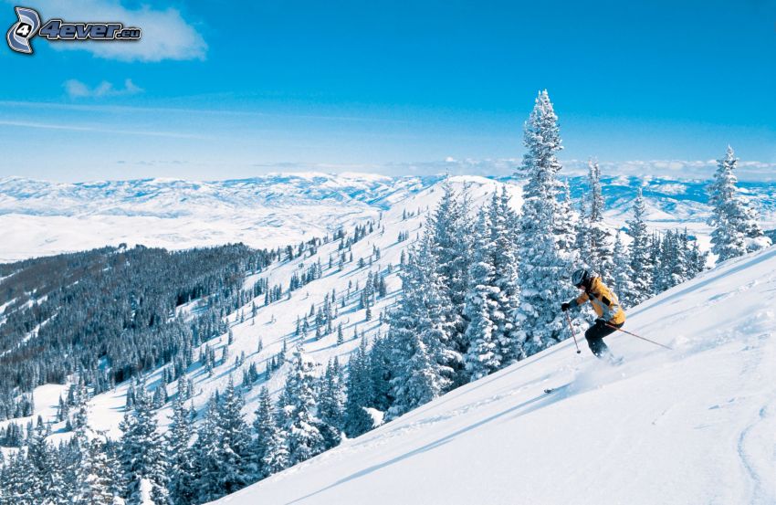esquí, colinas cubiertas de nieve, árboles nevados