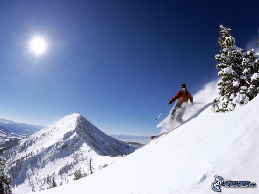esquí, nieve, sol
