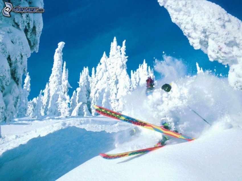 esquí extremo, accidente, árboles nevados