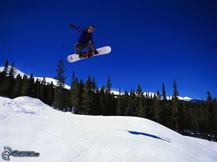 salto en tabla de snowboard, bosque