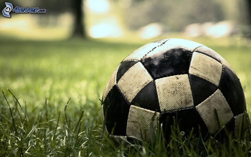 balón de fútbol, hierba