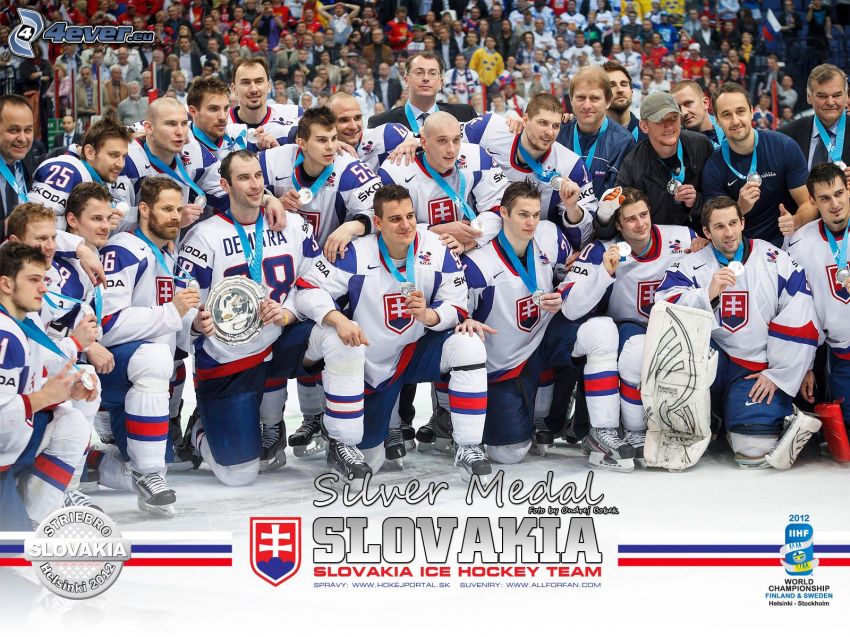 equipo de hockey Eslovaco, Helsinki 2012, plata