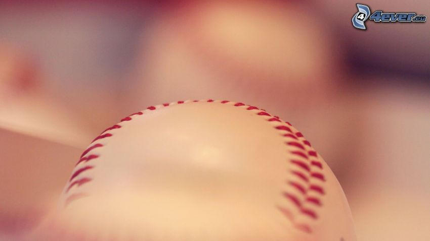 pelota de béisbol
