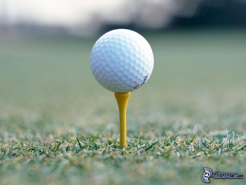 pelota de golf, hierba