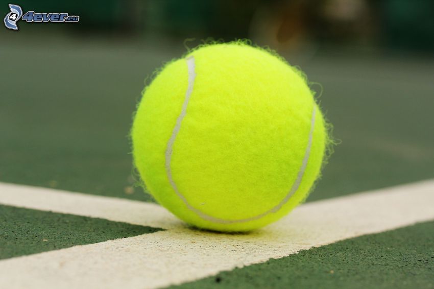 pelota de tenis, líneas blancas