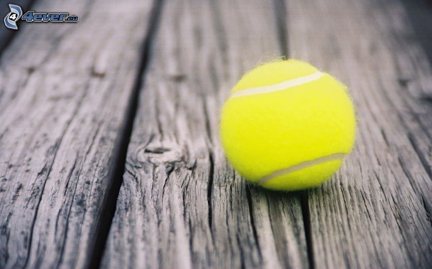 pelota de tenis, madera